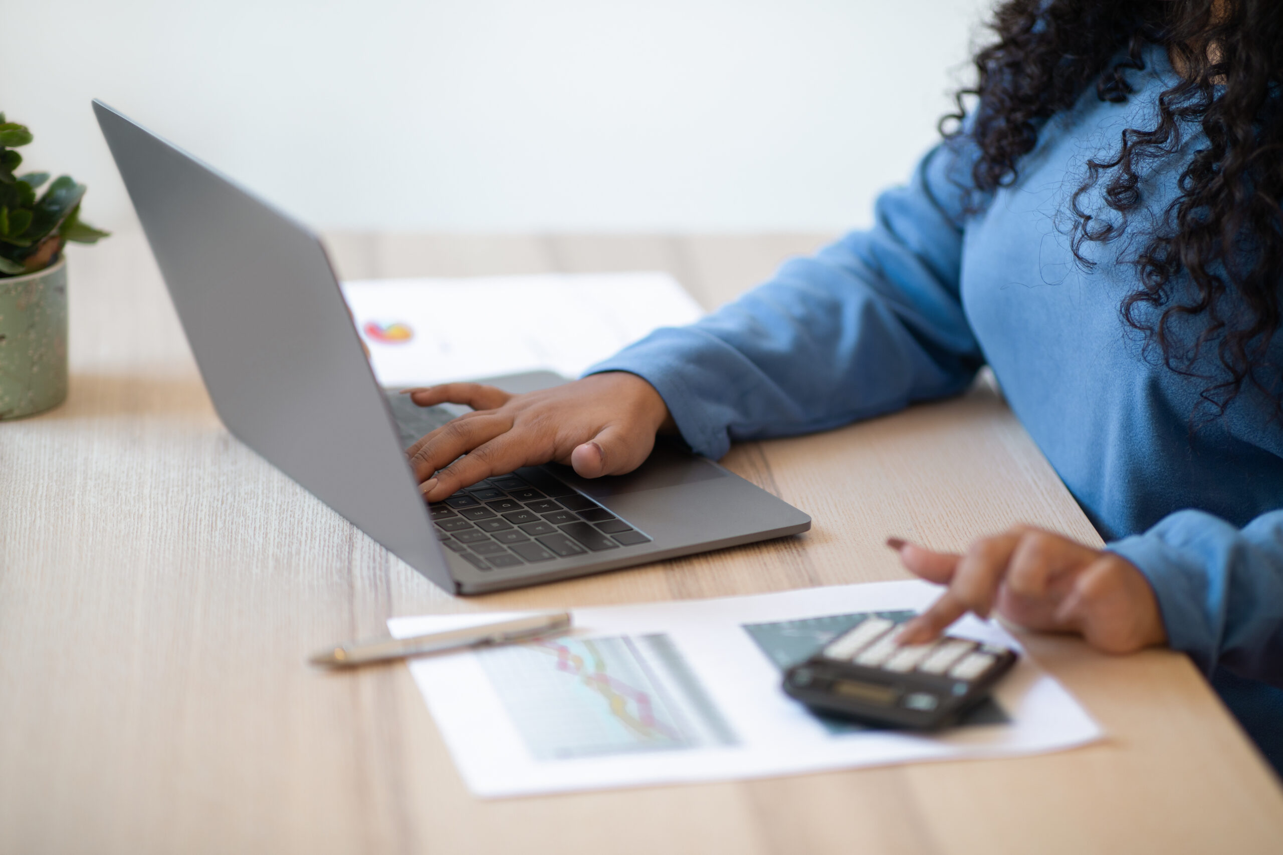 accounting software